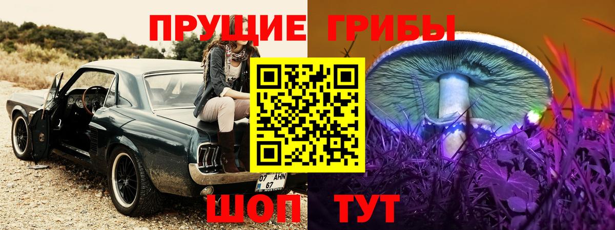 Псилоцибиновые грибы Cubensis Красный Сулин