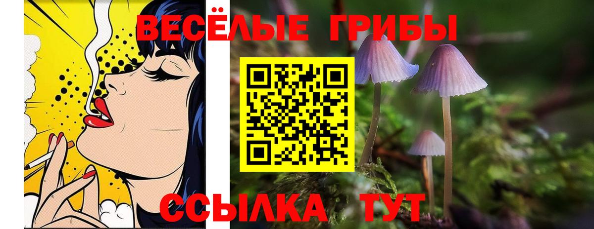 где купить наркотик  Галлюциногенные грибы прущие грибы  Красный Сулин  Вход с VPN  Галлюциногенные грибы мицелий 